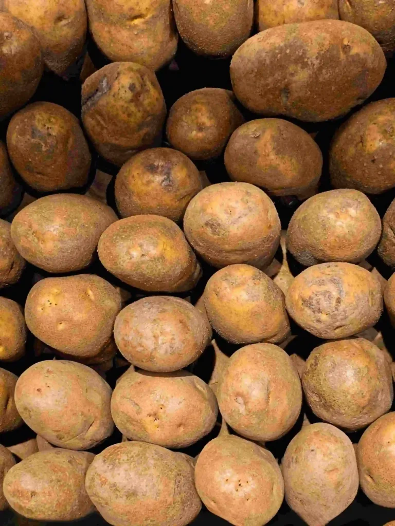 photo de plein de pomme de terre pour la journée de la frite comme exemple du calendrier des évènements marketing 2025